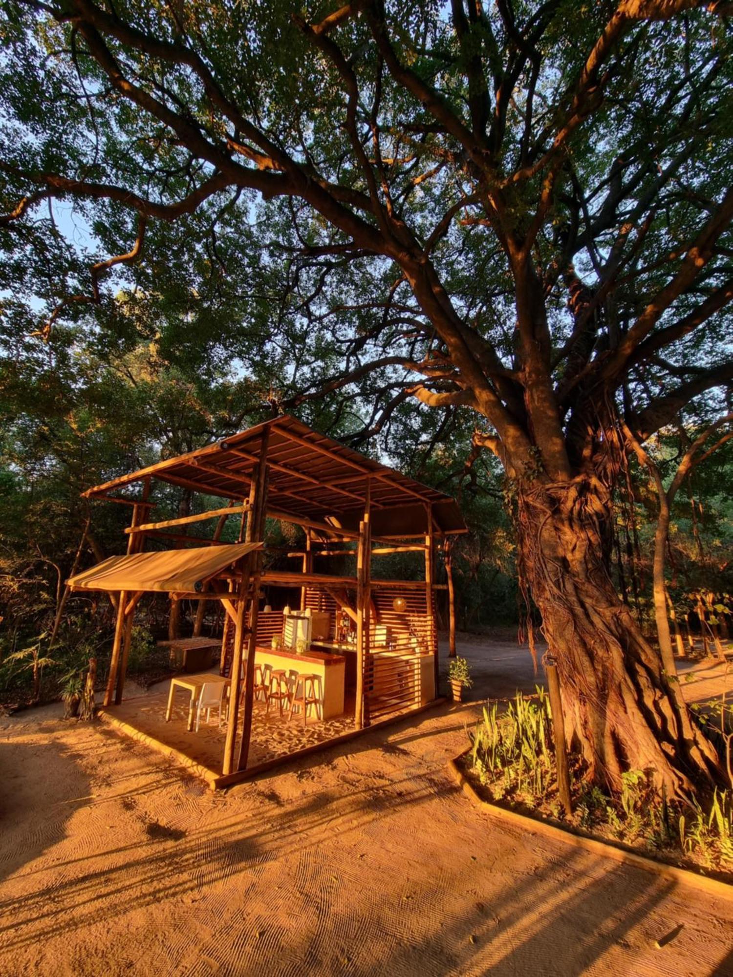 Askiesbos - Samochima Bush Camp Shakawe Exterior foto