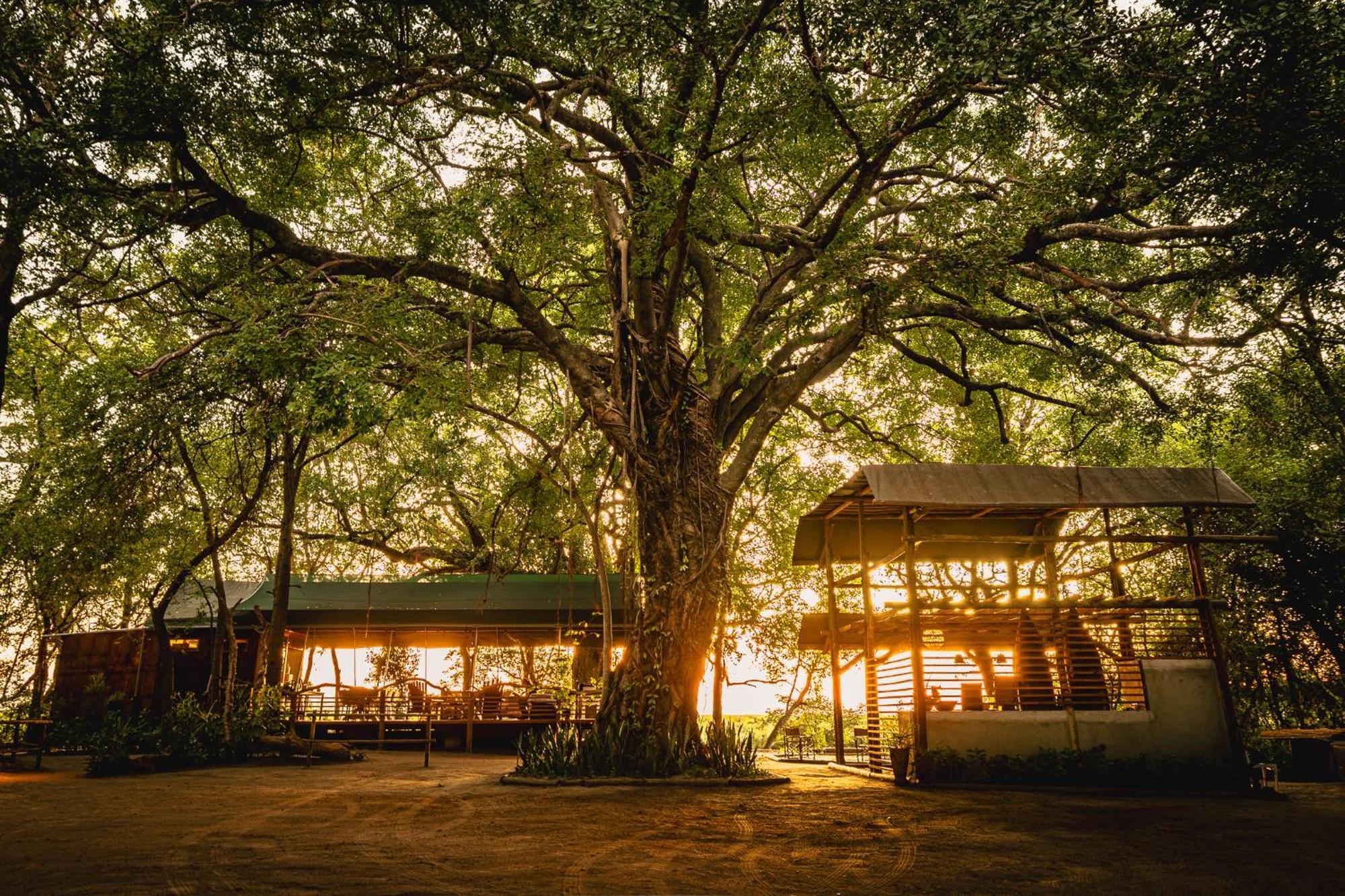 Askiesbos - Samochima Bush Camp Shakawe Exterior foto